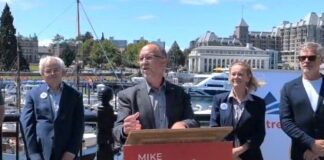 Former B.C. Liberal cabinet minister Mike Bernier to lead CentreBC