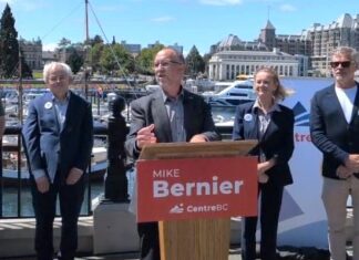 Former B.C. Liberal cabinet minister Mike Bernier to lead CentreBC