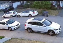 Surrey Police investigate damage to nine vehicles in Newton
