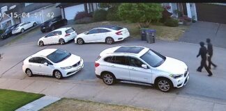 Surrey Police investigate damage to nine vehicles in Newton