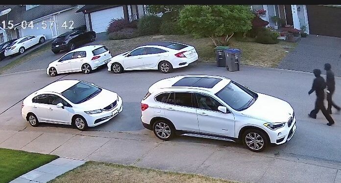 Surrey Police investigate damage to nine vehicles in Newton