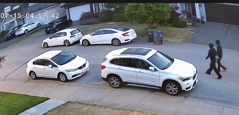 Surrey Police investigate damage to nine vehicles in Newton