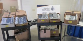 CBSA seizes 385 kg of cocaine at Ontario’s Blue Water Bridge