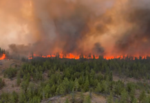 Supporting Summerland-area evacuees