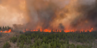 Reducing health risks from wildfire smoke