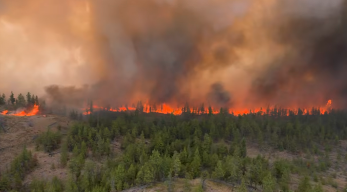 Supporting Summerland-area evacuees