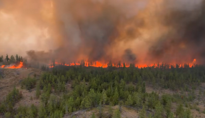 BC Wildfire Service