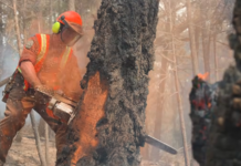British Columbia wildfires: Insurance Bureau of Canada provides insurance guidance
