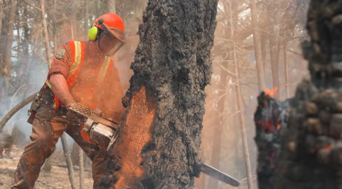British Columbia wildfires: Insurance Bureau of Canada provides insurance guidance
