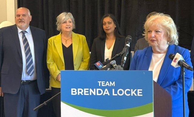 Former councillor Vera LeFranc and realtor Michael Dunn are Surrey Connect’s new candidates