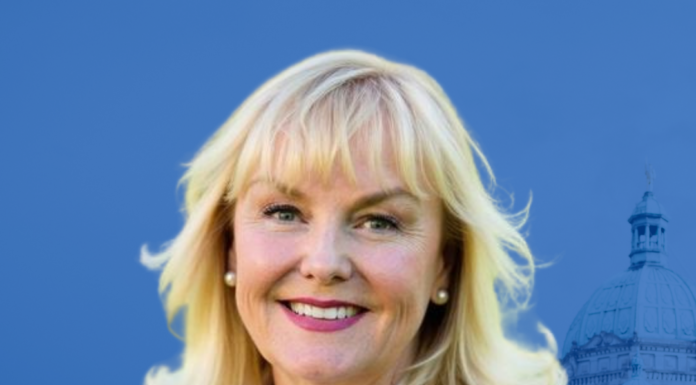 BC Conservative Leader Kerry-Lynne Findlay fires back