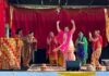 Punjabi Mela brings Victoria community together to celebrate culture and connection