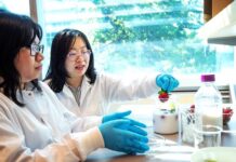 UBC seaweed-derived coating keeps strawberries fresher than a fridge