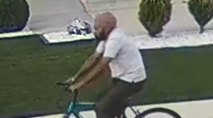 Ontario’s Windsor Police seek South Asian suspect following sexual assault of 12-year-old boy