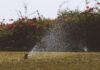 Region to move from Stage 2 to Stage 1 water restrictions on September 1 Sprinkler watering a lawn, illustrating Metro Vancouver's Stage 1 water restrictions