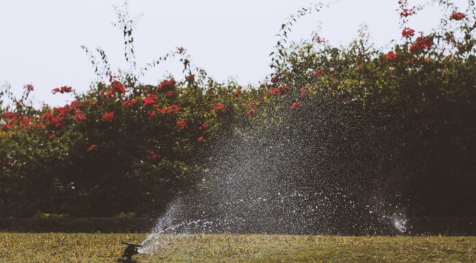 Region to move from Stage 2 to Stage 1 water restrictions on September 1 Sprinkler watering a lawn, illustrating Metro Vancouver's Stage 1 water restrictions