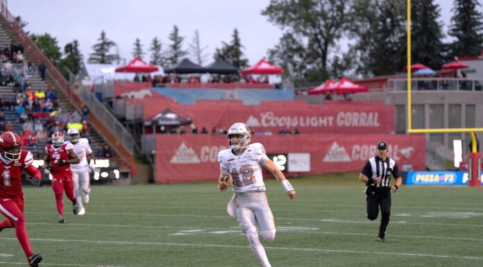 SPORTS WITH HARP: Lions keep rolling with gritty win over Stampeders