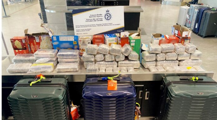 44 kg of hash, 13 kg of cocaine destined for Sri Lanka seized