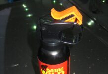 Vancouver Police target bear spray sales following increase in youth assaults