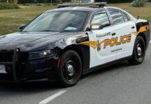 Man doing bird control work with air rifle in Abbotsford sparks massive police response