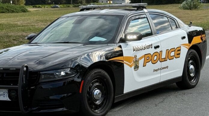 Man doing bird control work with air rifle in Abbotsford sparks massive police response