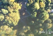 Delta’s Planting Our Roots – Free Tree Project returns this fall