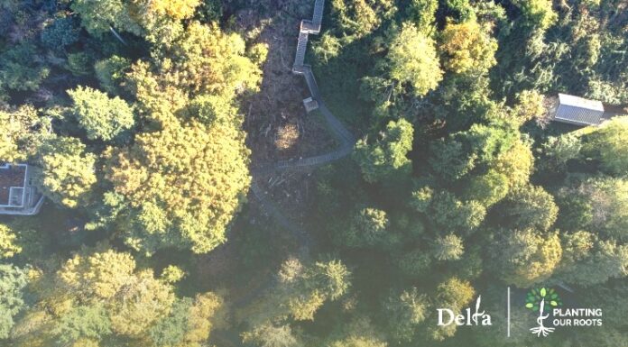 Delta’s Planting Our Roots – Free Tree Project returns this fall