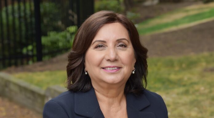 Former minister Jinny Sims is NDP’s candidate in Surrey-Panaroma