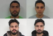 CBSA efforts to disrupt extortion networks led to over 100 removals