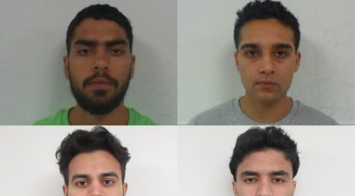 CBSA efforts to disrupt extortion networks led to over 100 removals
