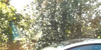 Two witnesses help police ticket sleeping Tesla driver on Highway 1