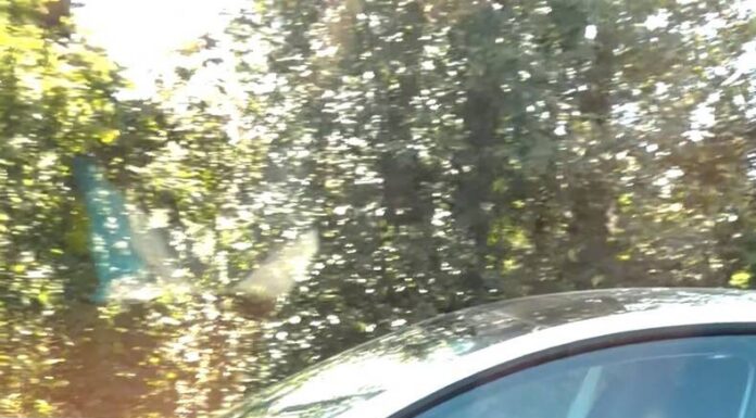 Two witnesses help police ticket sleeping Tesla driver on Highway 1