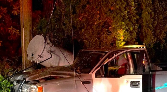 Impaired driver crashes into utility pole in Abbotsford
