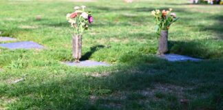 Burnaby RCMP investigating series of vase thefts from gravesites, set up tip line