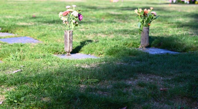 Burnaby RCMP investigating series of vase thefts from gravesites, set up tip line