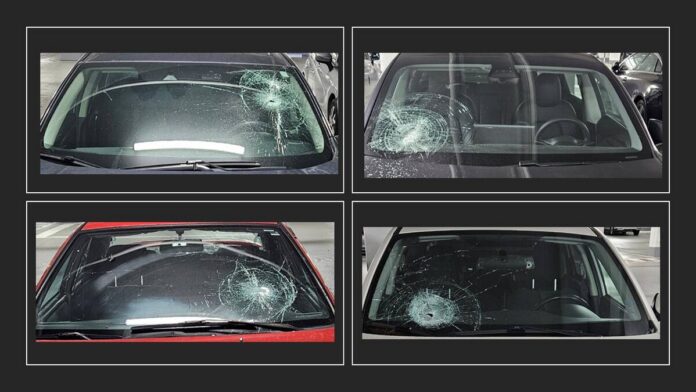 BURNAY windshields