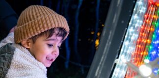 Bear Creek Lights returns November 6 with expanded route, light displays