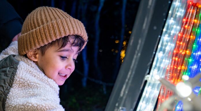 Bear Creek Lights returns November 6 with expanded route, light displays