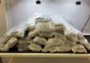 Cannabis smuggler caught at Vancouver International Airport pleads guilty