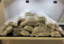 Cannabis smuggler caught at Vancouver International Airport pleads guilty