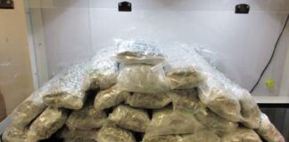 Cannabis smuggler caught at Vancouver International Airport pleads guilty