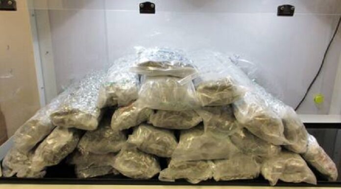 Cannabis smuggler caught at Vancouver International Airport pleads guilty