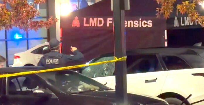 z1 LANGLY RCMP SHOOTING